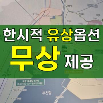 한시적 유상옵션 무상제공 (선착순)